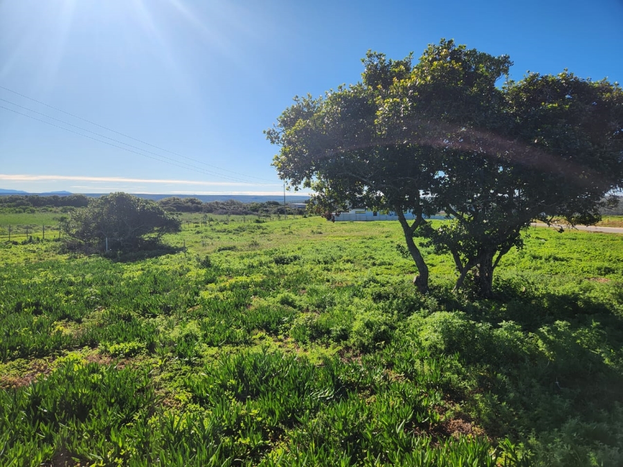 0 Bedroom Property for Sale in Stilbaai Wes Western Cape